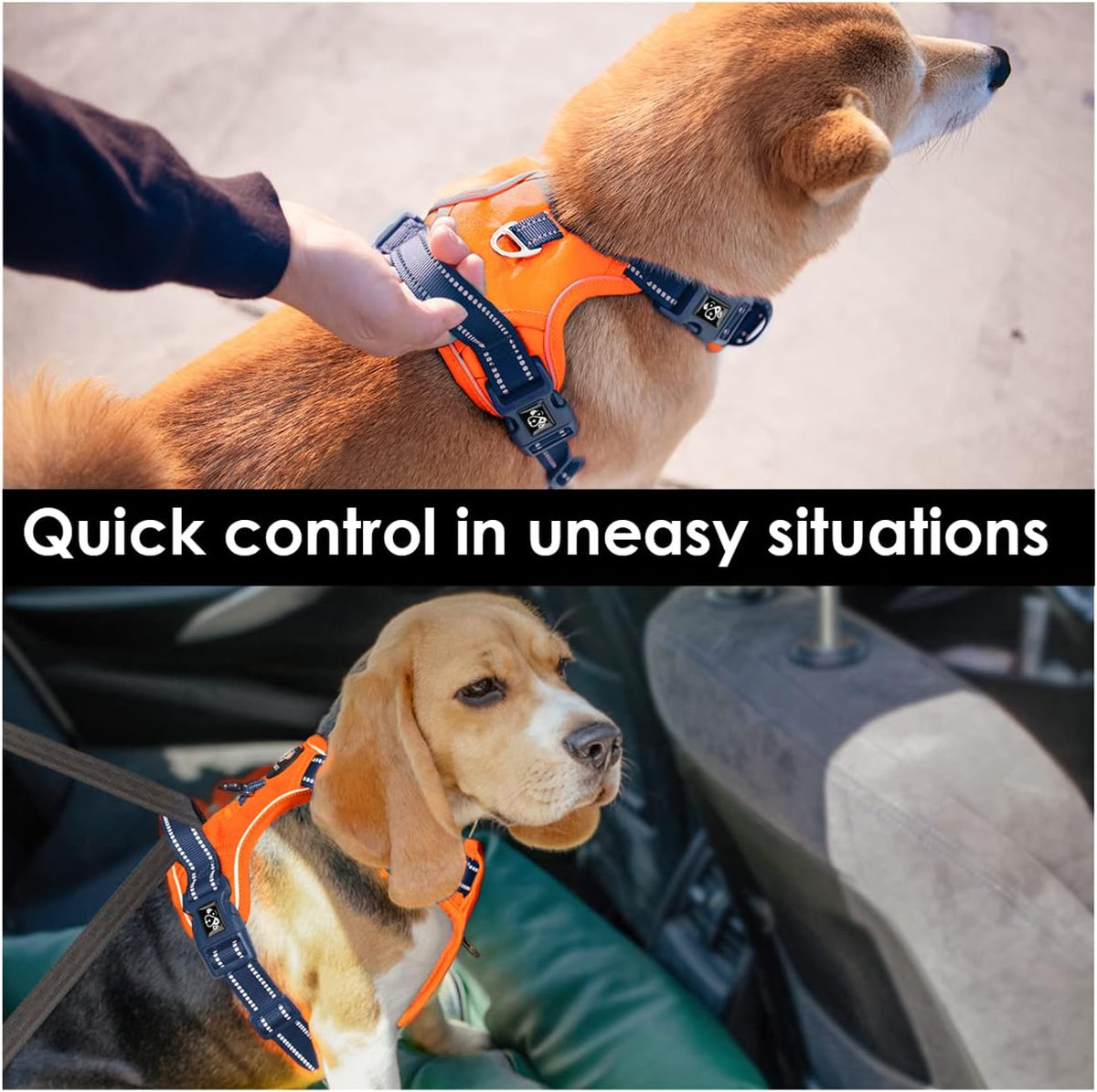 PHOEPET No Pull Dog Harness, Unique Colors Reflective Adjustable Dog Vest, with Soft Training