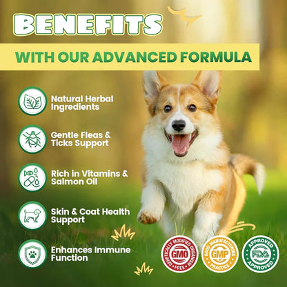 Flea and Tick Prevention for Dogs, 200 Natural Soft Chewables Flea and Tick Support with Vitamins &