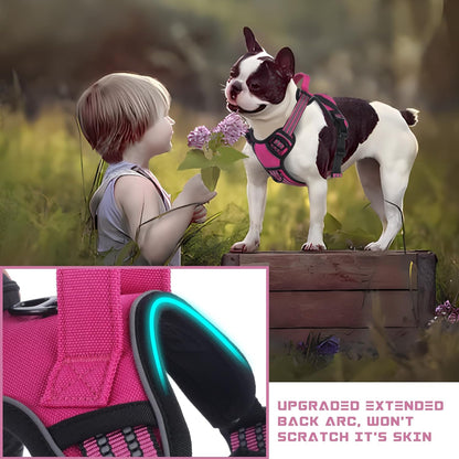BUMBIN Dog Harness for Large Dogs, No Pull Adjustable No Choke Pet Vest with Dog Leash Fit Smart