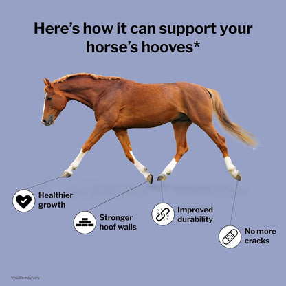 Formula 707 Hoof Health Equine Supplement, Daily Fresh Packs, 56 Day Supply - Biotin, Amino Acids