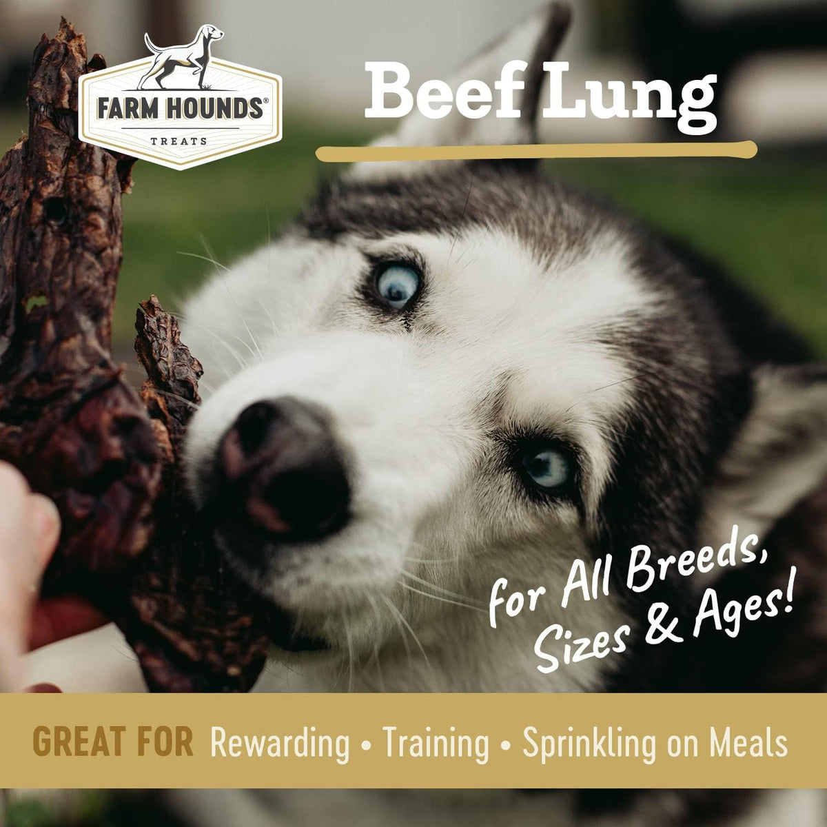Farm Hounds - Beef Lung - Premium Natural Beef Lung Jerky for Dogs - Made from 100% Humanely Raised