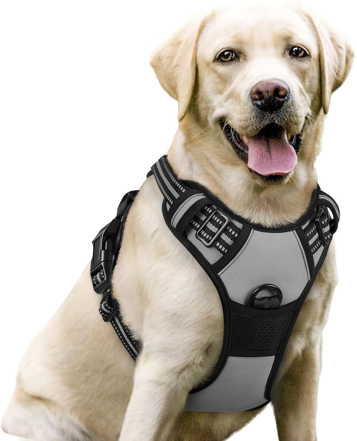 rabbitgoo Dog Harness No Pull with 2 Leash Clips, Adjustable Soft Padded, Reflective Oxford No