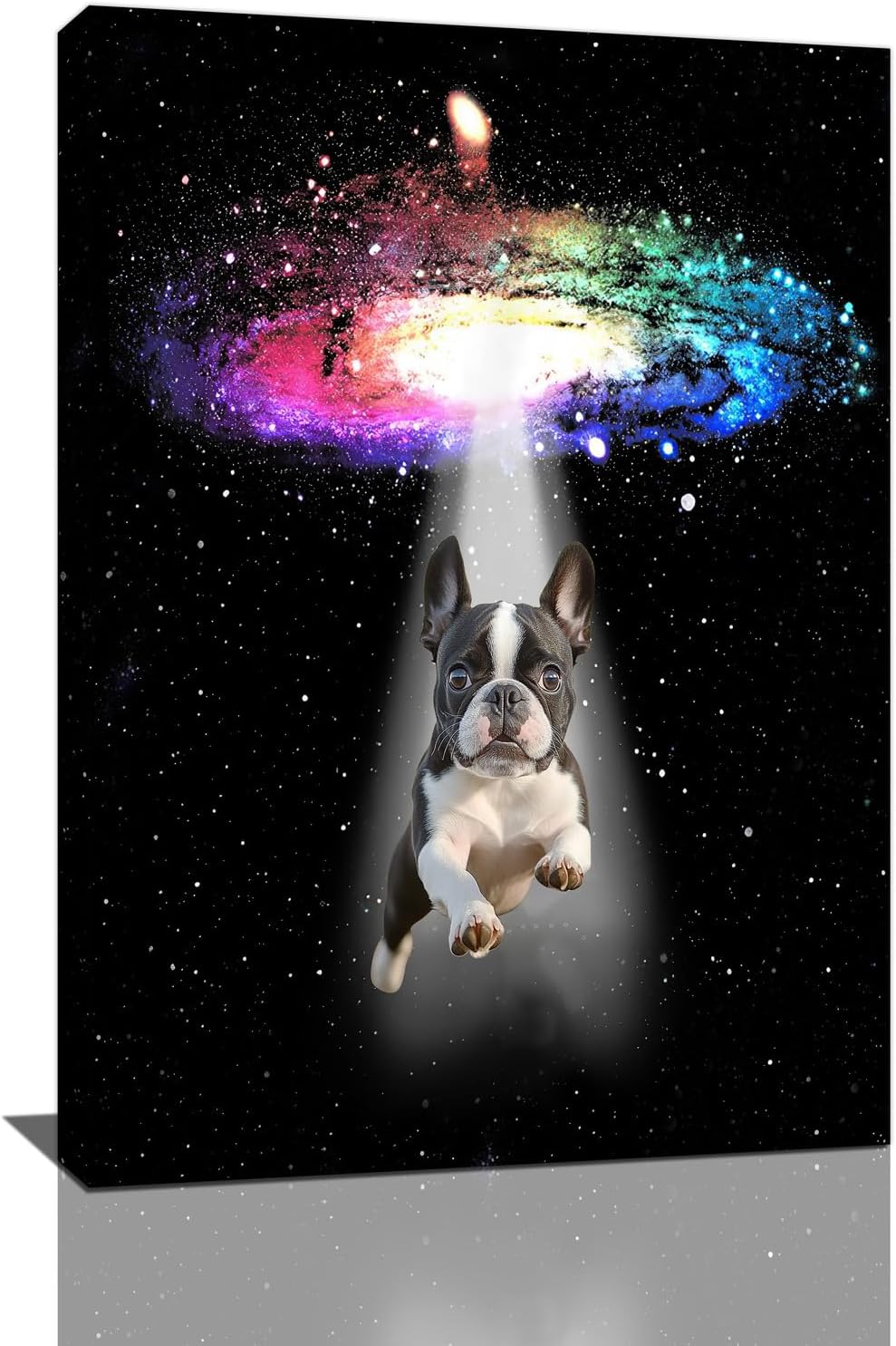 Funny Dog Wall Art Canvas Boston Terrier Wall Decor Prints Framed Painting Bulldog Galaxy Pictures