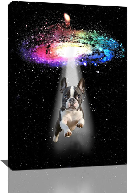 Funny Dog Wall Art Canvas Boston Terrier Wall Decor Prints Framed Painting Bulldog Galaxy Pictures