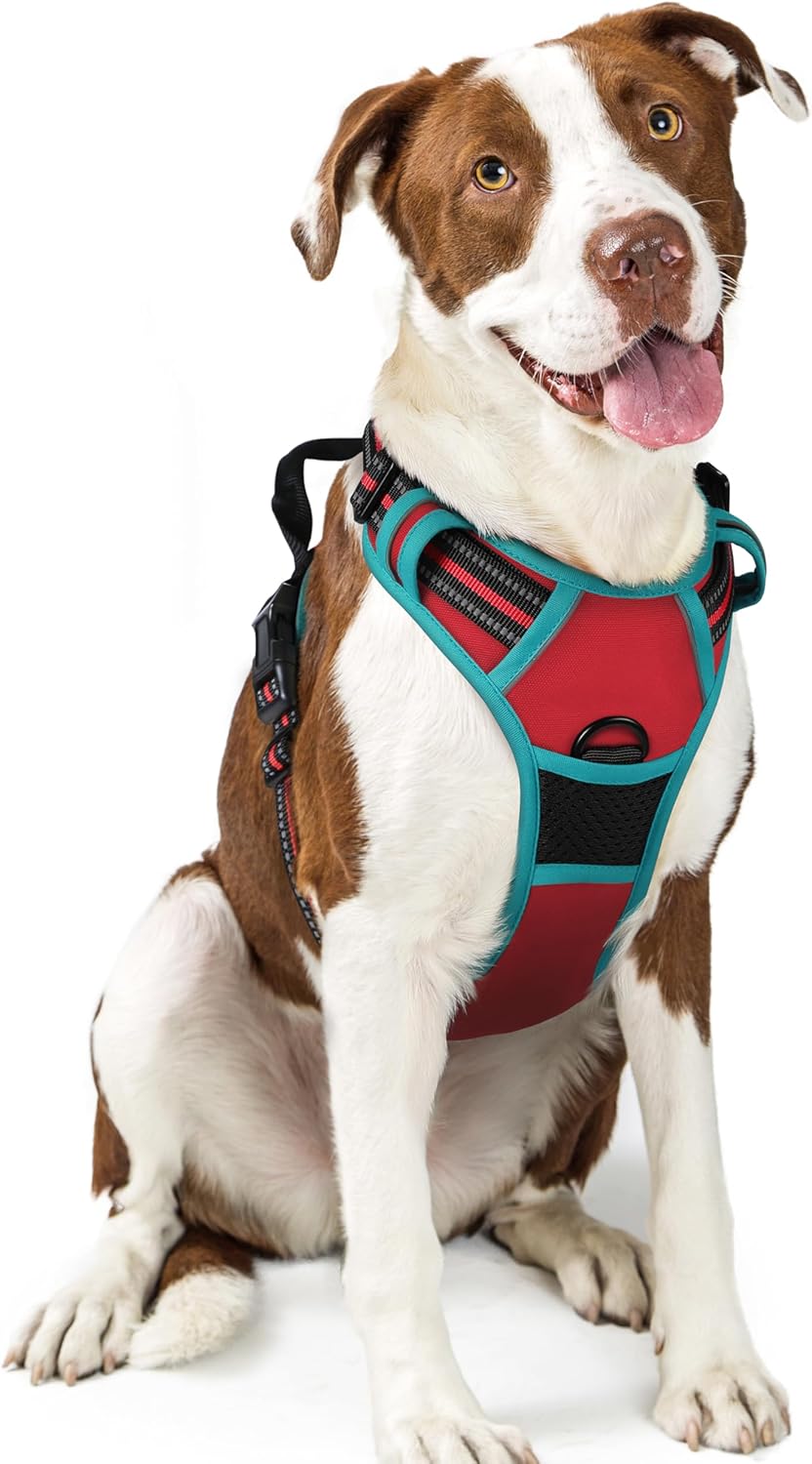 rabbitgoo Dog Harness No Pull with 2 Leash Clips, Adjustable Soft Padded, Reflective Oxford No