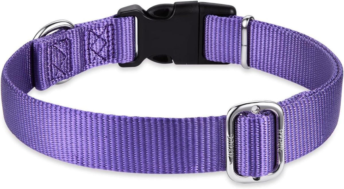 Hyhug Pets Solid Color Classic Regular Heavy Duty Basic Collar for Small Dogs, Unique Design