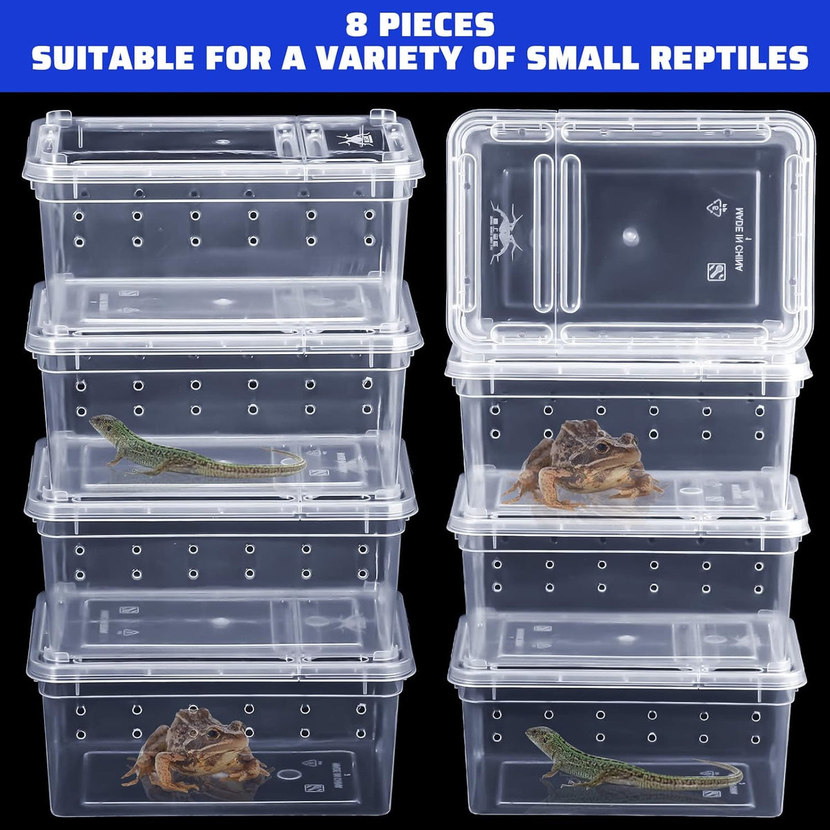 Irenare 8 Pcs Reptile Breeding Breeding Box Plastic Spider Terrarium Tarantula Feeding Box for