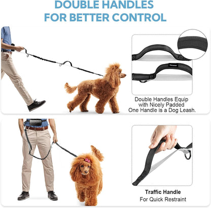 Hands Free Dog Leash with Pouch, Double Leash for Two Dogs, Retractable Bungee with Double Padded