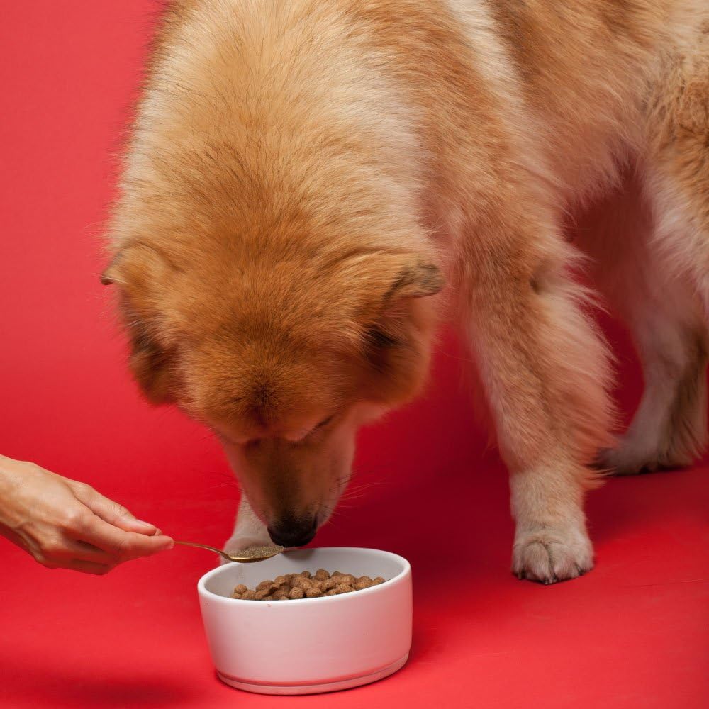 The Missing Link Senior Dog Supplement 1lb Bag - Powerful Powder Supports Bones, Joints, Skin