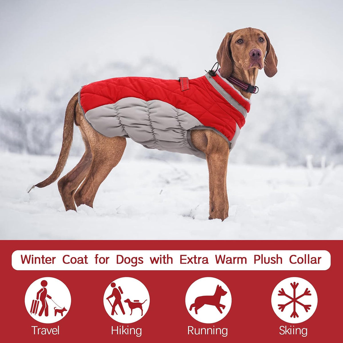 FUAMEY Dog Coat for Small Dogs,Waterproof Dog Winter Jacket with Harness Built in Puppy Cold