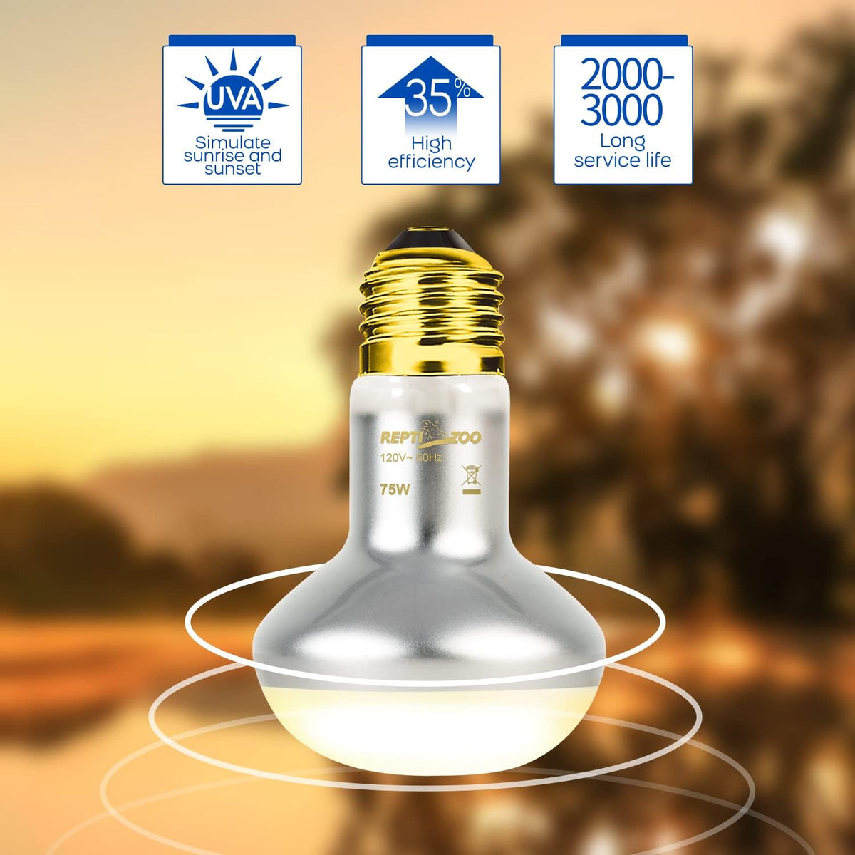 REPTIZOO 75W Reptile Heat Lamp Bulb, 2PCS Day & Night Basking Spot Light Combo Pack Includes