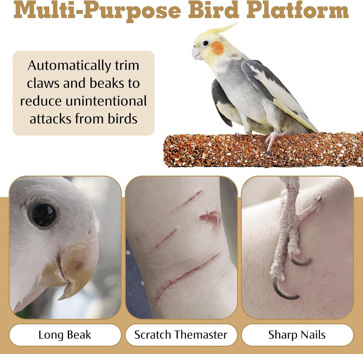 PINVNBY 2 PCS Natural Bird Perches Bird Grinding Stick Calcium Mineral Parrot Perch Stand Foot