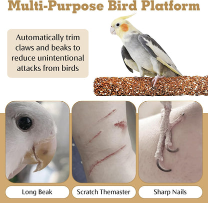 PINVNBY 2 PCS Natural Bird Perches Bird Grinding Stick Calcium Mineral Parrot Perch Stand Foot