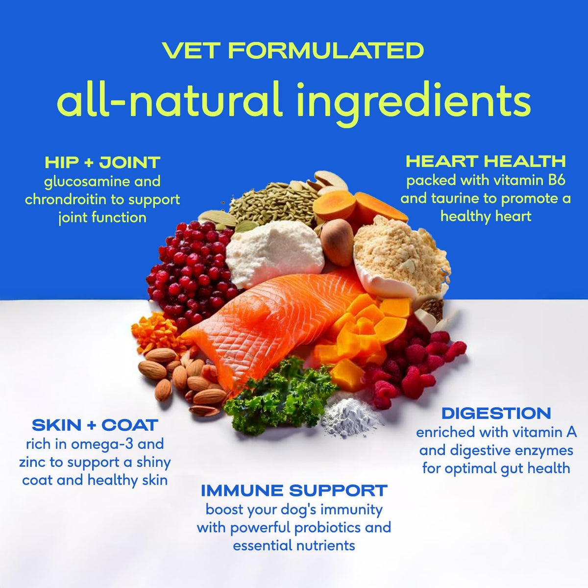Native Pet Dog Vitamins & Supplements - 11-in-1 Multivitamin Powder for Dogs Food Topper