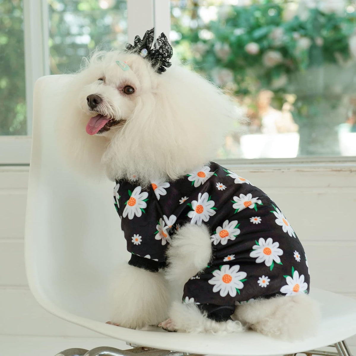 CuteBone Small Dogs Outfit Soft Puppy Onesies Pjs Dog Pajamas Pet Coat Cat Apparel Comfy Doggie