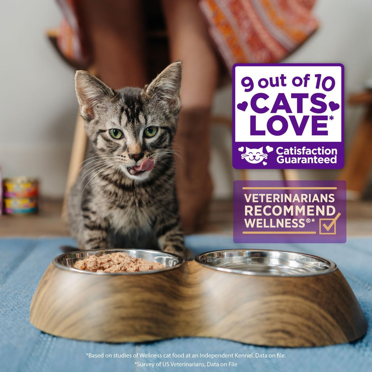 Wellness Healthly Indulgence Shreds Adult Wet Cat Food, Natural, Protein-Rich, Grain Free, 3 Ounce