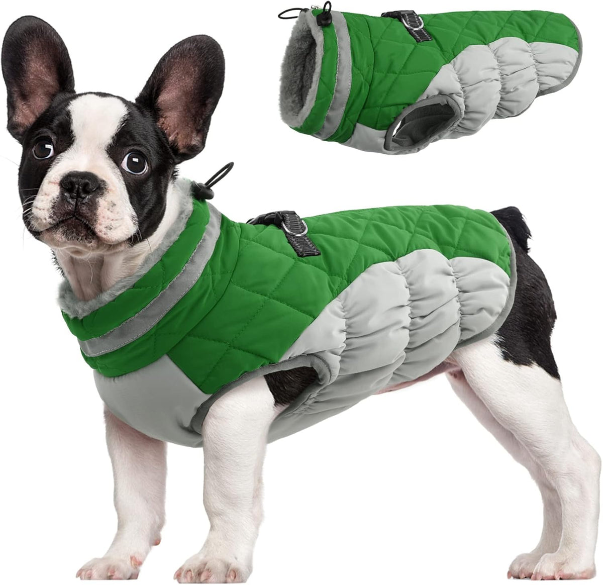 FUAMEY Dog Coat for Small Dogs,Waterproof Dog Winter Jacket with Harness Built in Puppy Cold