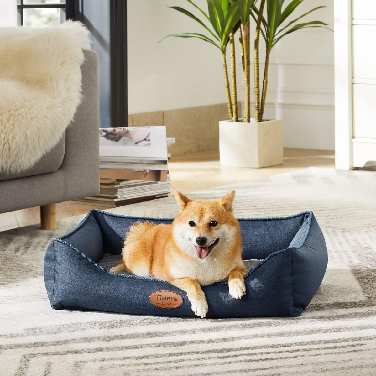 Orthopedic Dog Beds for Medium Dogs, Durable Egg Crate Foam Sofa Dog Bed wit Washable Removable