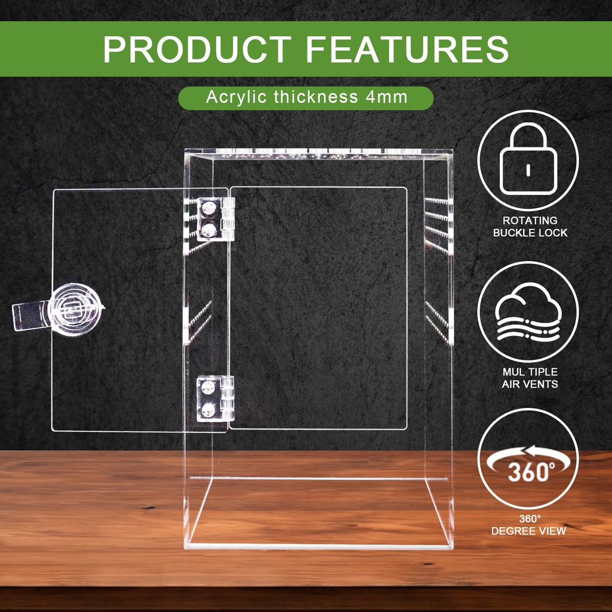 Spider Terrarium Kit, Jumping Spider Enclosure with Hideout, Rope Bridge, Ledge Ladder, Micro