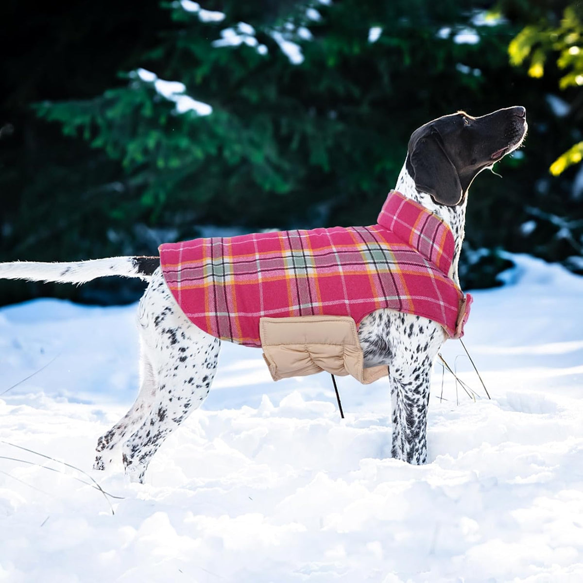 Kuoser Warm Dog Coat, Waterproof Dog Coats for X-Small Dogs, Adjustable Durable Doggie Winter