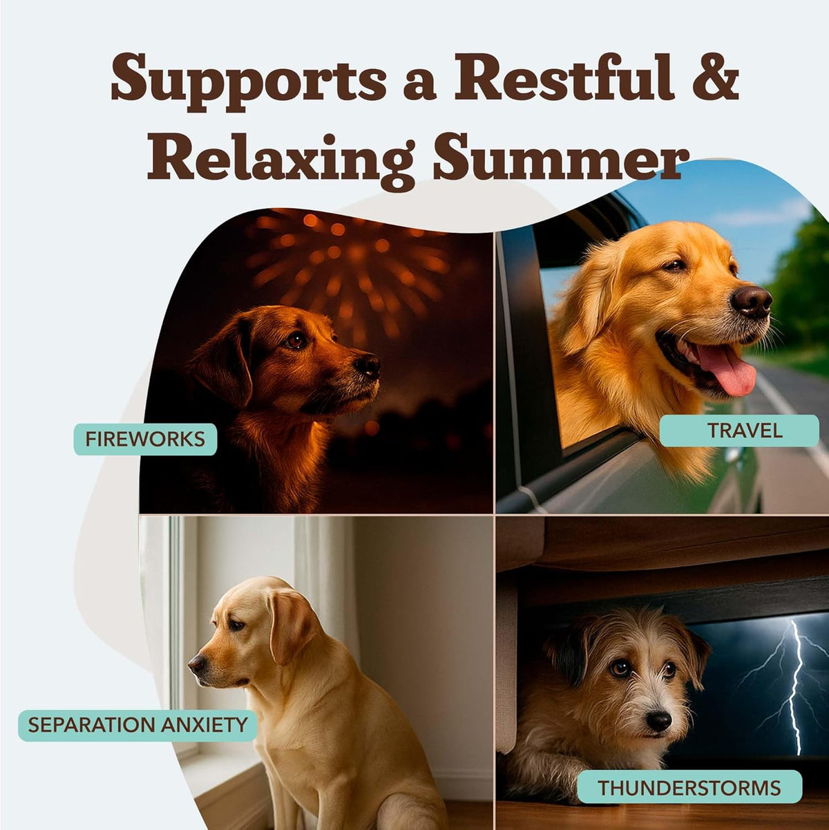 Natural Dog Company Calming Chews for Dogs, Stress & Anxiety Relief Supplement with Chamomile