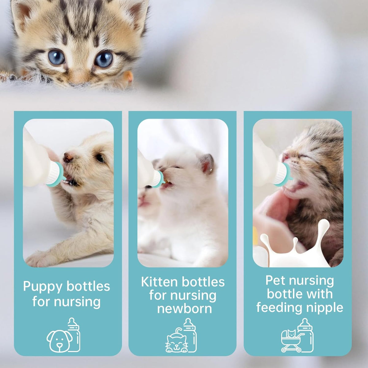 5Pack Kitten Bottle for Nursing Puppy Milk Kitten Bottles Feeding Kit Silicone Nipple for Newborn