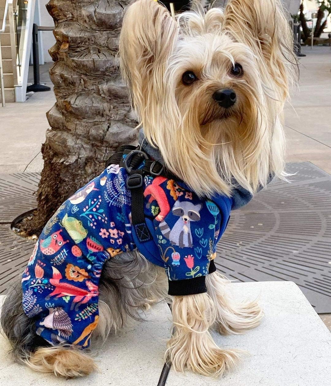 CuteBone Small Dogs Outfit Soft Puppy Onesies Pjs Dog Pajamas Pet Coat Cat Apparel Comfy Doggie
