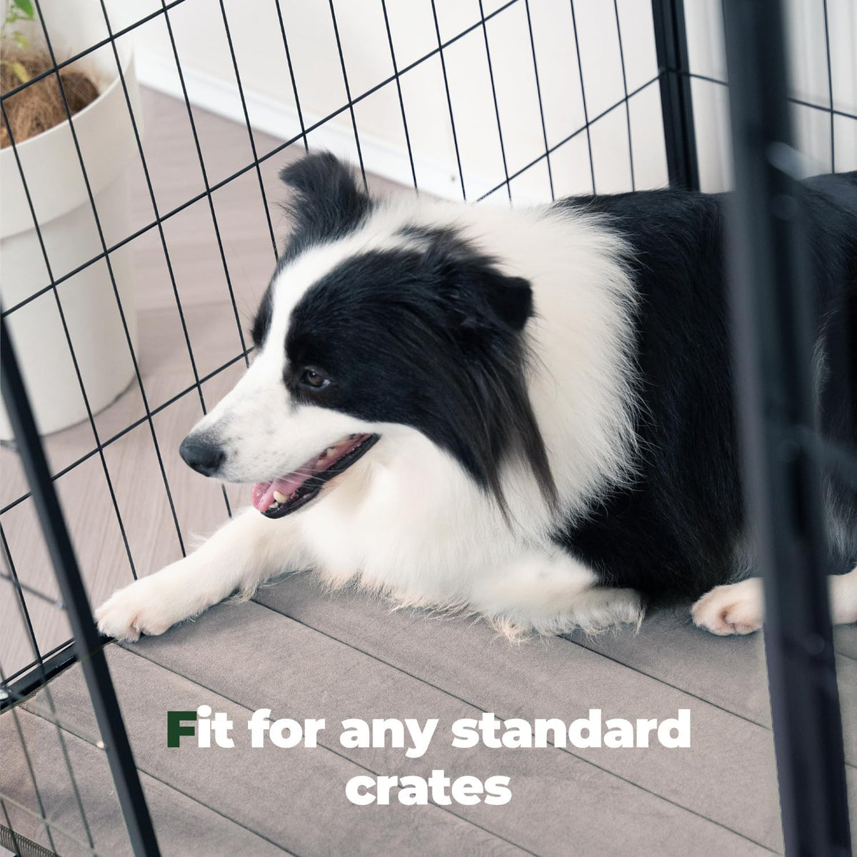BALANCE Dog Crate Pad, Dog Foam Crate Mat Kennel Pad, Washable Water-Resistant Pet Bed Flat Dogs