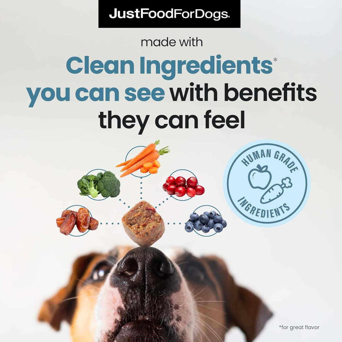 JustFoodForDogs Calming Supplement for Dogs Soft Chew to Support Stress and Anxiety, Melatonin