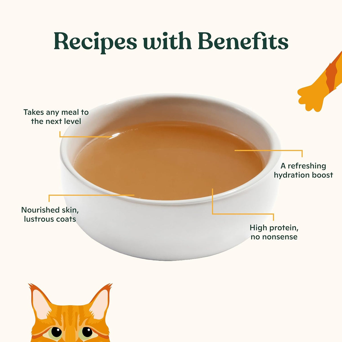 Made by Nacho Bone Broth Cat Food Topper for Hydration and Picky Eaters - Add Protein and Flavor to