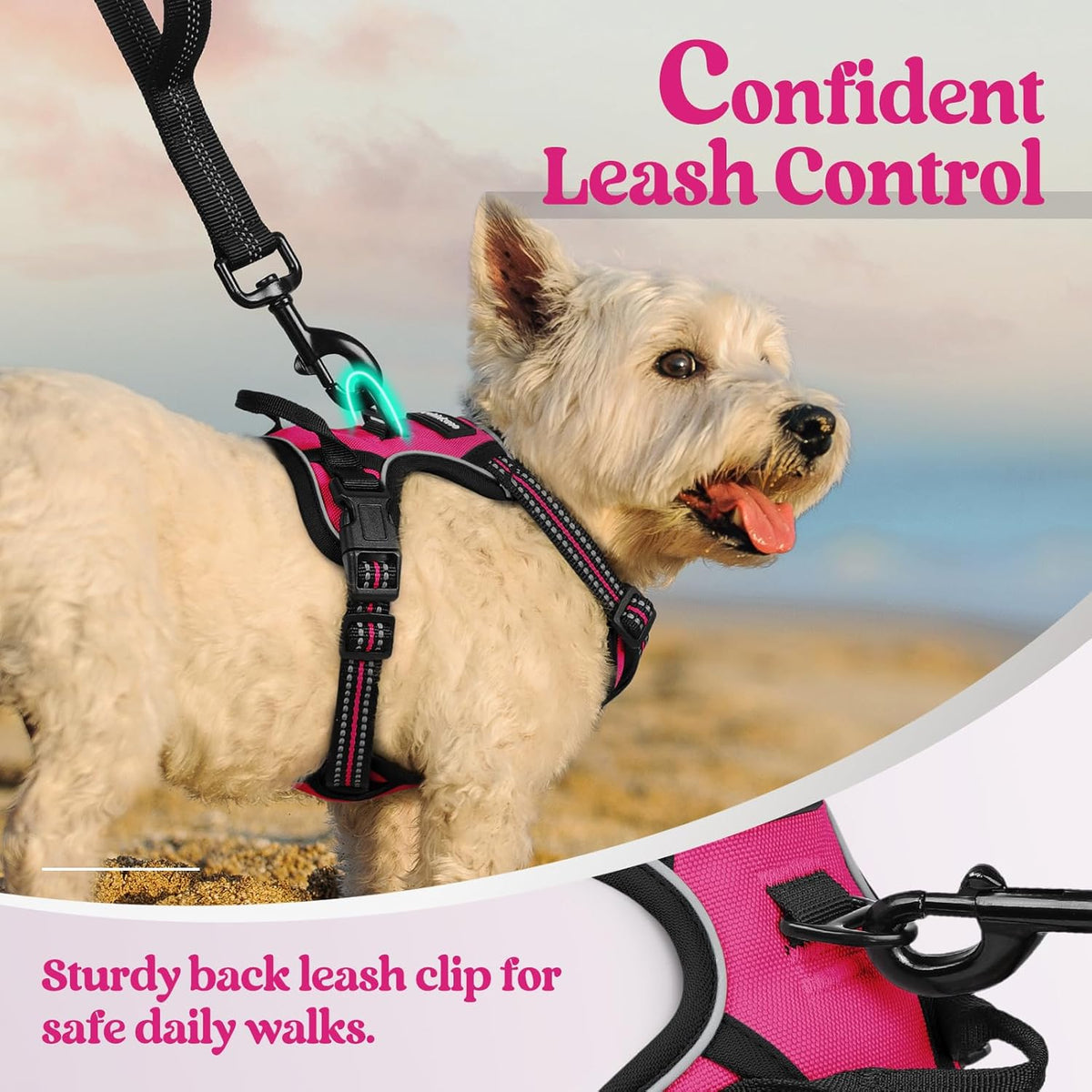 rabbitgoo Dog Harness No Pull with 2 Leash Clips, Adjustable Soft Padded, Reflective Oxford No