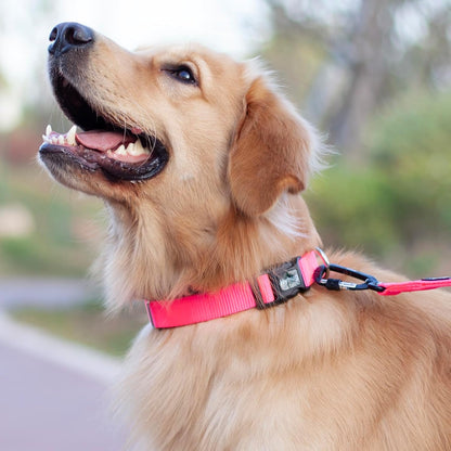 Hyhug Dog Collar with Quick Release Buckle, Nylon Adjustable Sturdy Cute Dog Collars for Large Dogs