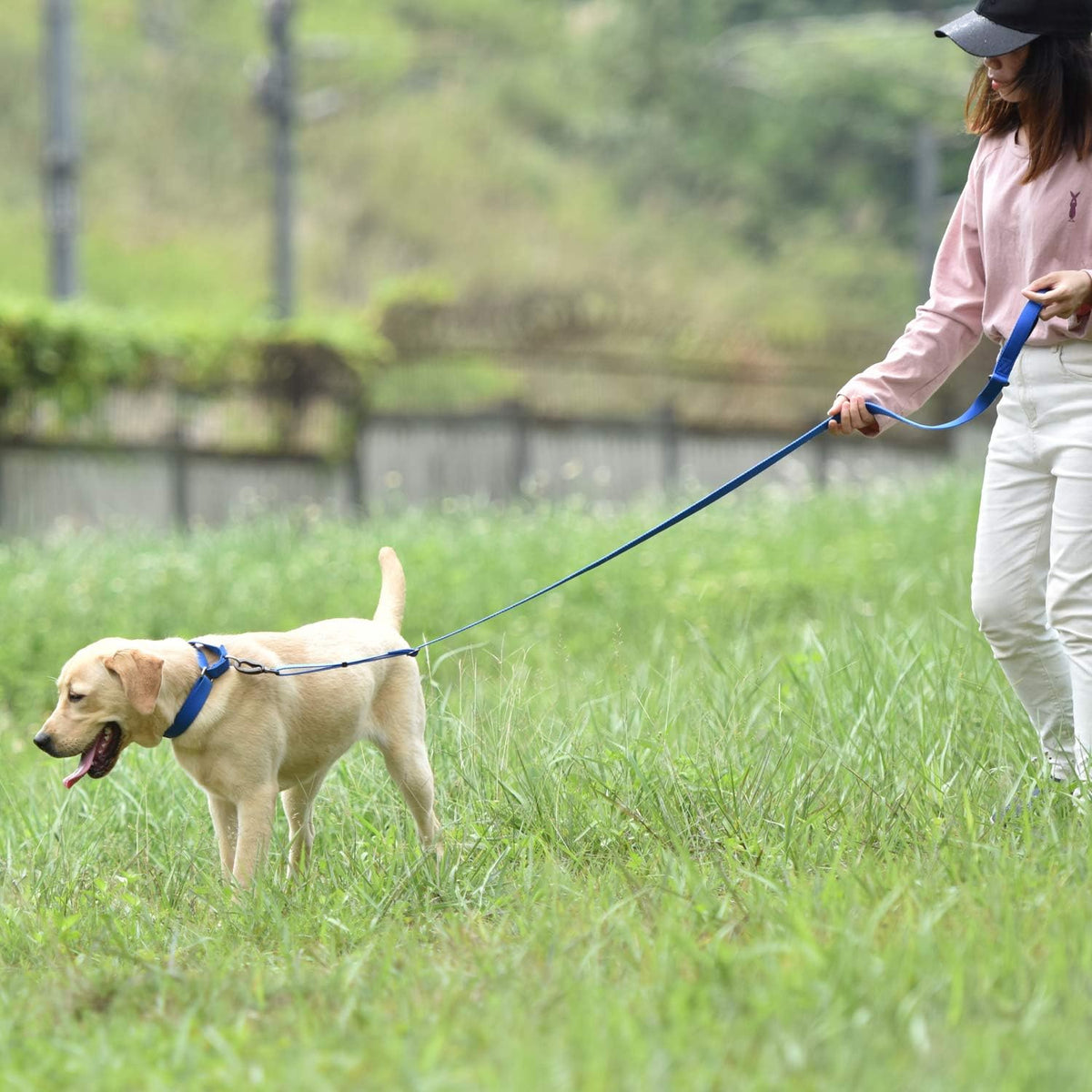 Hyhug Adjustable Solid Study Nylon Anti Escape Durable Martingale Not Slip Training Puppy Dog