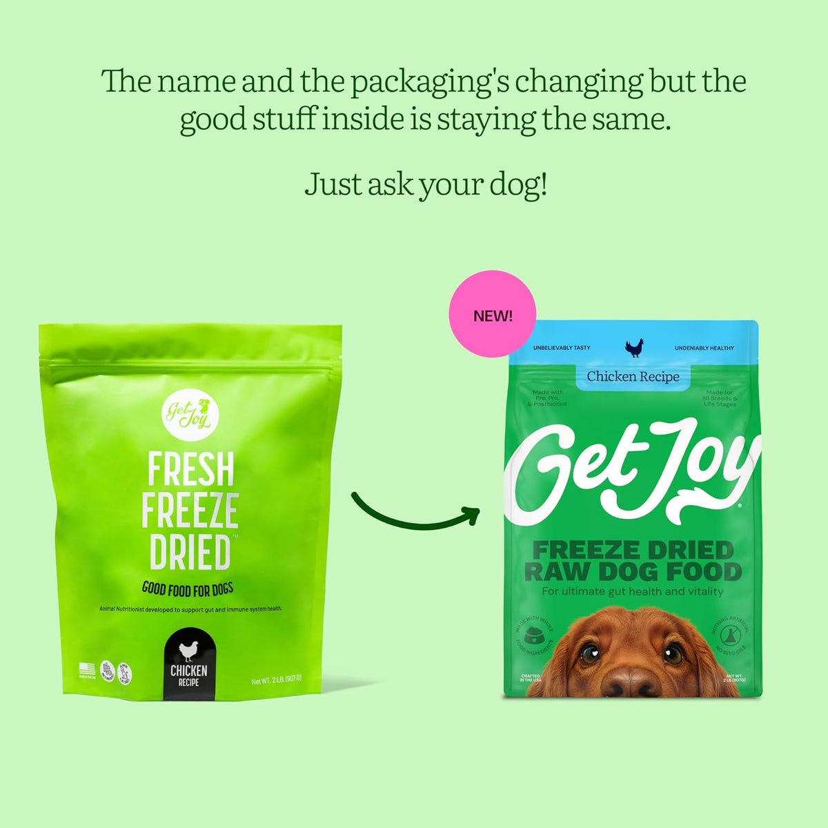 Get Joy Gut Health Fresh Freeze Dried Raw Meal, Chicken Recipe, 16 Ounce Bag, Dog Food for Dogs of
