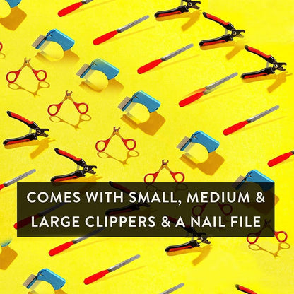 Pet Care Pedicure Kit for Dogs, Cats, Birds and Reptiles - Nail Clippers, File and Scissors Style