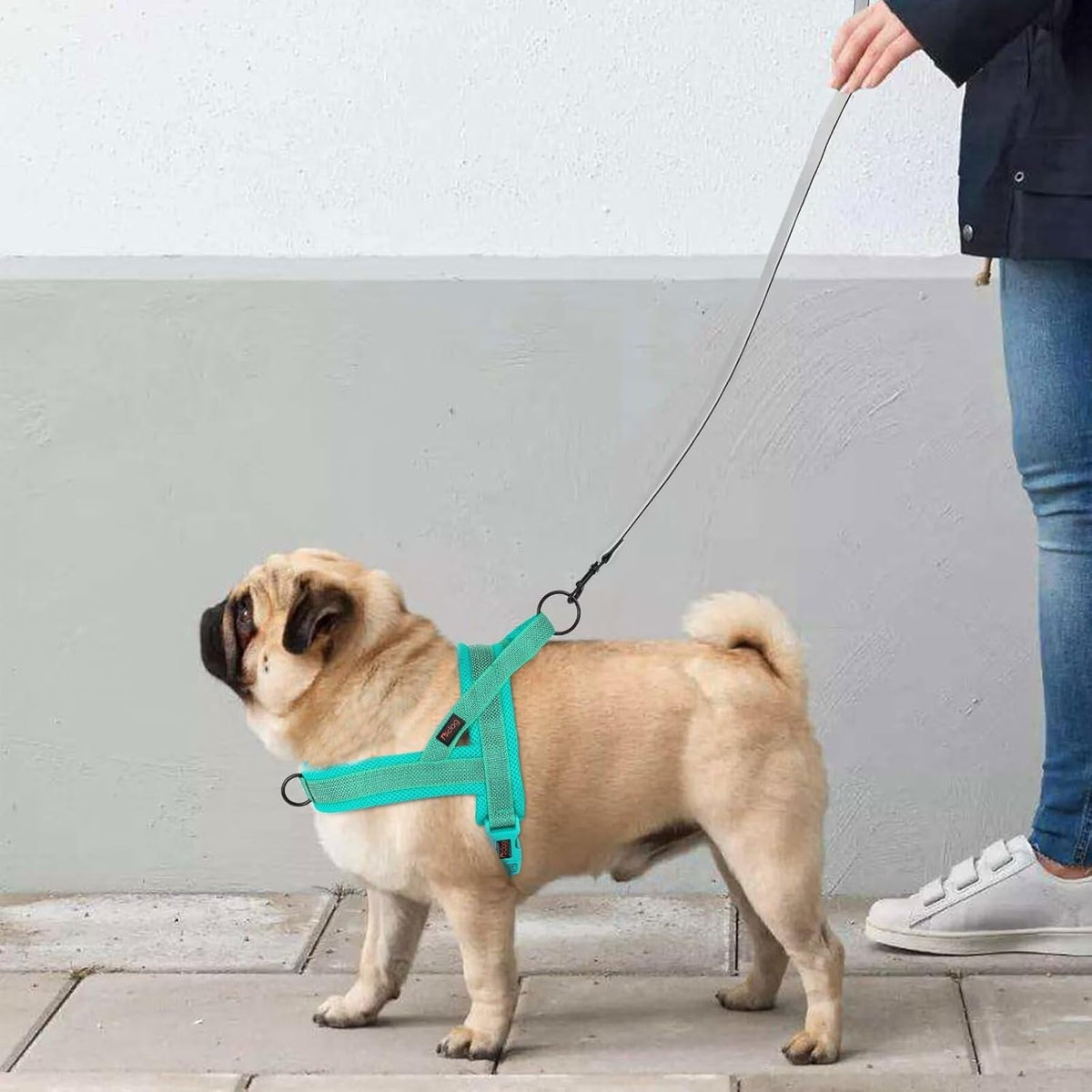 Didog No Pull Dog Harness with Breathable Mesh Padded, Full Reflective & Quick Fit Adjustable Vest