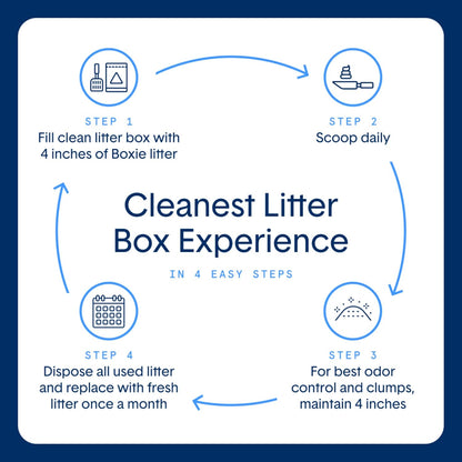 Boxie® Extra Strength Cat Litter, Lightweight 35-Day Odor Control, Clumping, 6.5lb