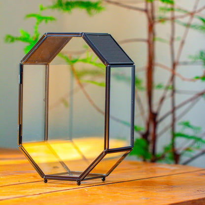 NCYP Glass Enclosure Terrarium with Mesh and Door for Jumping Spiders, Snails, Insects - Octagon