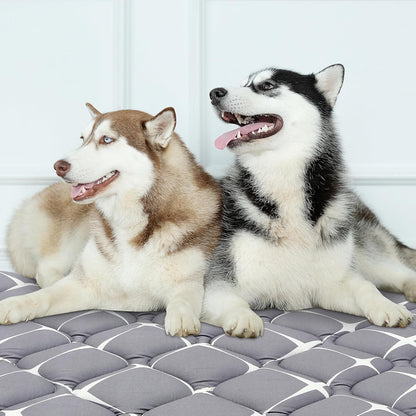 Bubble bear Dog Crate Mat - Ultra Soft, Washable & Anti-Slip Kennel Pad for Small/Medium/Large