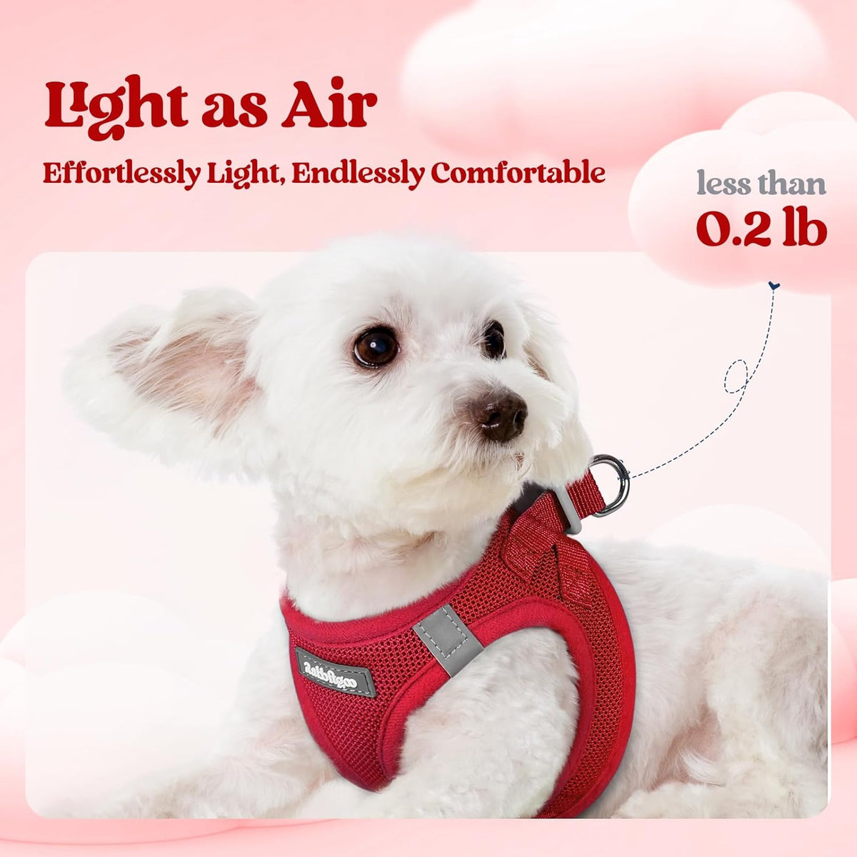 rabbitgoo Dog Harness Small Sized and Leash Set, Step in Soft Light Puppy Vest, Breathable Mesh Pet