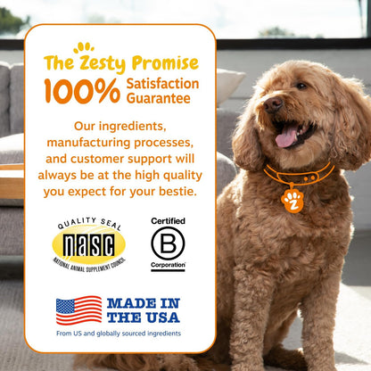 Zesty Paws Probiotics for Dogs, Digestive Enzymes Gut Flora, Digestive Health, Diarrhea & Bowel