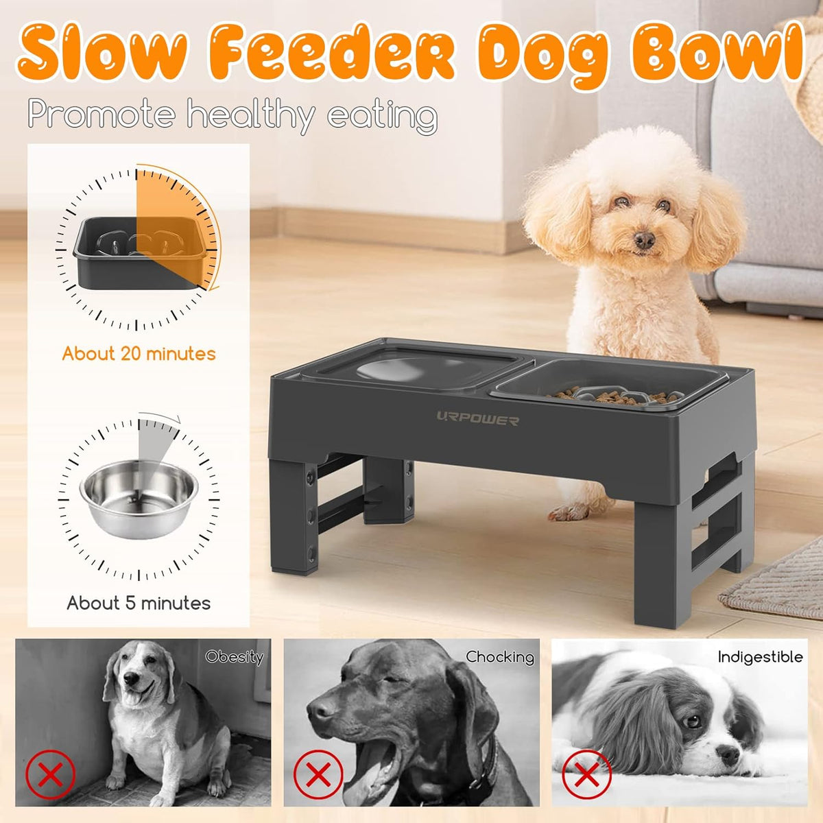 URPOWER 2-in-1 Elevated Slow Feeder with No Spill Dog Water Bowl 4 Height Adjustable Raised Bowl