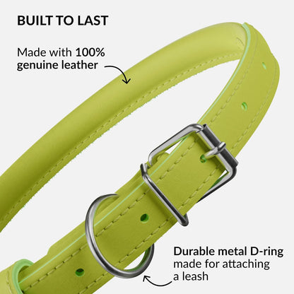 CollarDirect Rolled Leather Dog Collar, Soft Padded Round Puppy Collar, Handmade Genuine Leather