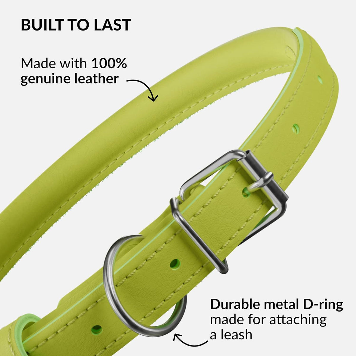 CollarDirect Rolled Leather Dog Collar, Soft Padded Round Puppy Collar, Handmade Genuine Leather