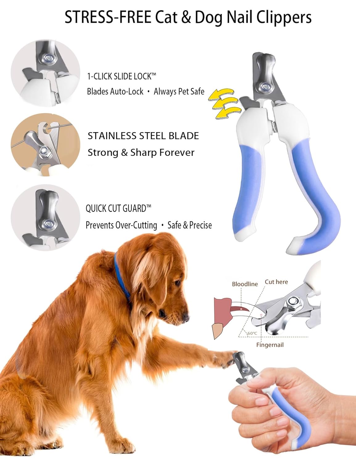 6ps Dog Cat Brush Grooming Kitf, Dog Cat Brushes, Bath Brush, Dematting Rake and Comb, Nail