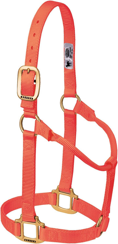 Weaver Equine Nylon Horse Halter, Triple-Ply Cheek Design, Original Non Adjustable Halters for