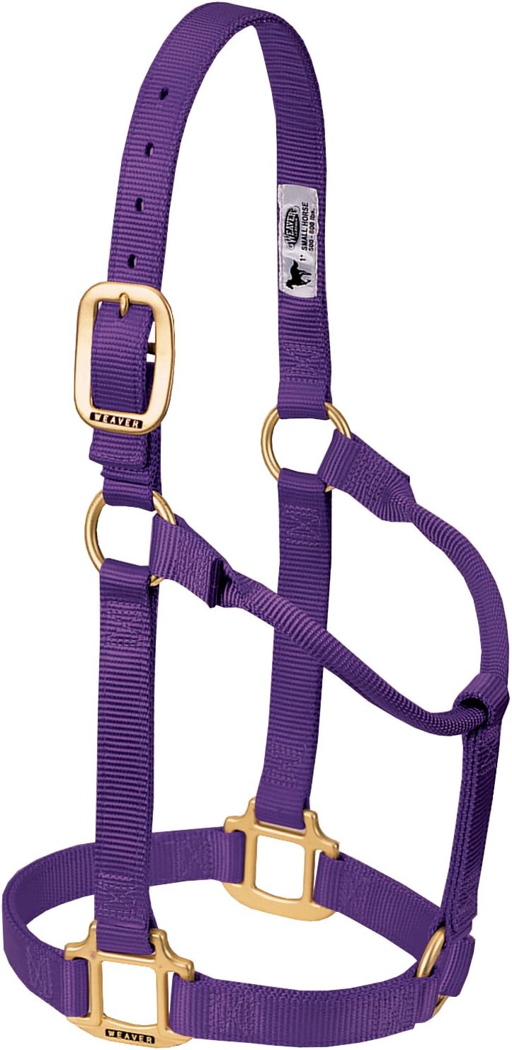 Weaver Equine Nylon Horse Halter, Triple-Ply Cheek Design, Original Non Adjustable Halters for