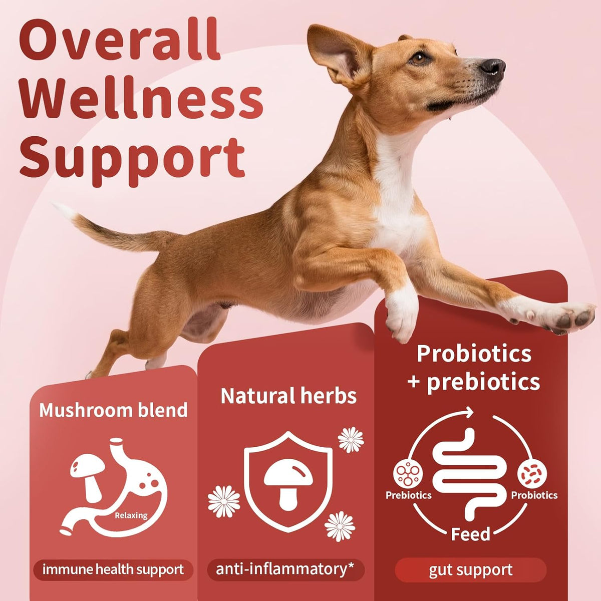 Dog Allergy Chews, Probiotics for Dog Allergy Relief - Itchy Skin and Itchy Ears - Allergy Paw