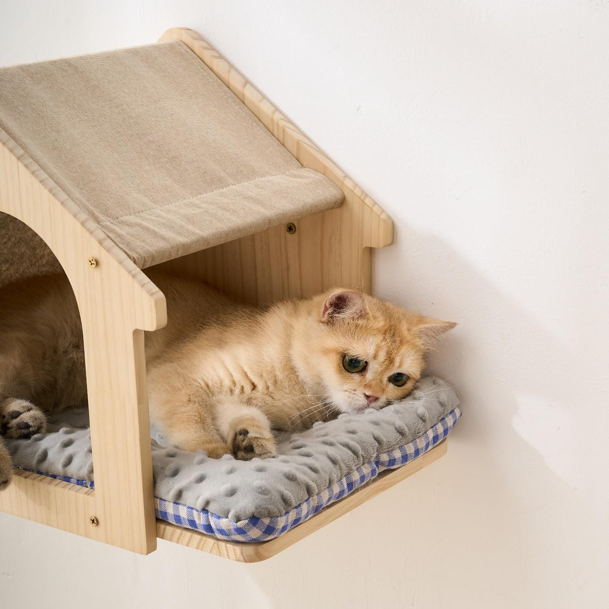 SHENGOCASE Natural Wood Cat Wall Shelves Bed, 2-Pack, Wall-Mounted Box House Perch, Cat Condo