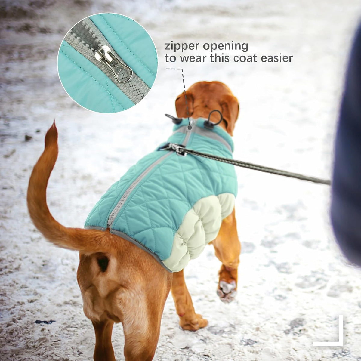 FUAMEY Dog Coat for Small Dogs,Waterproof Dog Winter Jacket with Harness Built in Puppy Cold